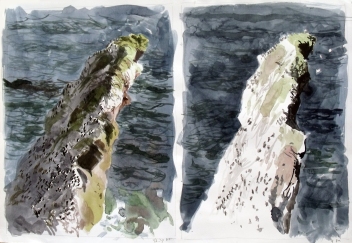 Two views from St Abbs Head, Through the Day