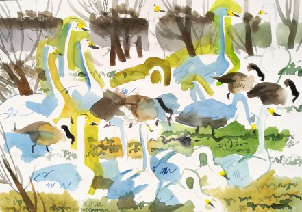 Whoopers and Canadians, Winter Field, Vestermarie (sold)